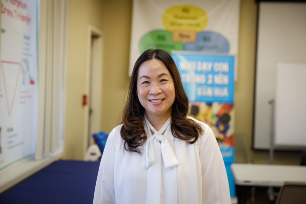 Study of Bay Area Vietnamese refugees probes war impacts on aging brains