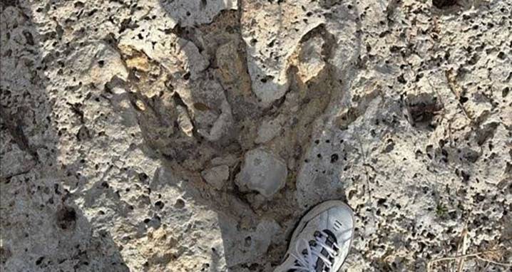 Set Of Massive Dinosaur Tracks Revealed In Texas After Floods