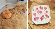 22 Hobbies To Try When You’ve Finally Reached The End Of The Internet