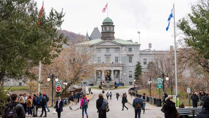 How to fix Canada's broke universities? Hire a consultant