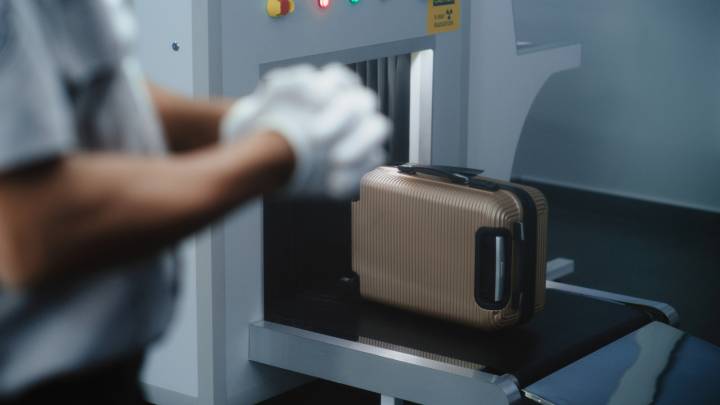 The Living Crustacean You Can Actually Bring Through Airport Security