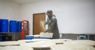 Kratom poisoning calls climb in Texas