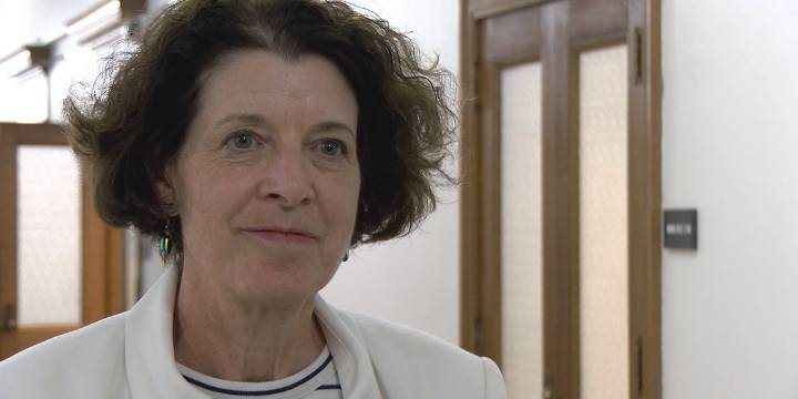 Council taps Deb DeLuca to represent District 2 on an interim basis