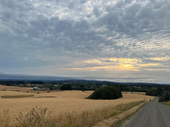 Portland gets a mild start to week with cooler temps Monday.  Heat returns by Friday