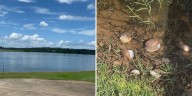 Lake Buhlow temporarily closed after mussel die-off; reopening expected soon