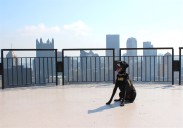 Steeler the Labrador enters final four of TSA's Cutest Canine Contest