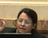 "Fue desafortunada". La senadora que dijo que los niños argentinos no tienen derecho a atenderse en el Garrahan pidió disculpas