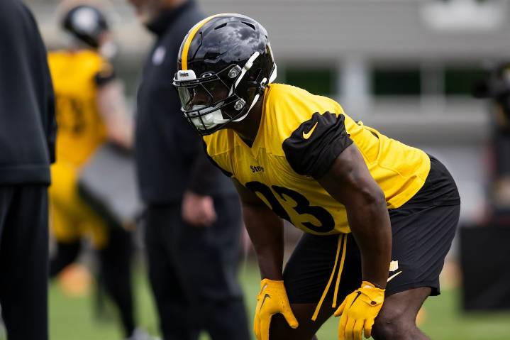 Pittsburgh Steelers move on from bone-crushing linebacker Mark Robinson