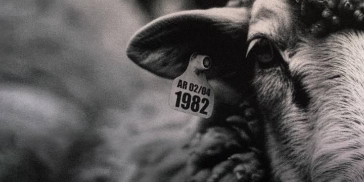 Proyectan documental sobre las torturas en Malvinas