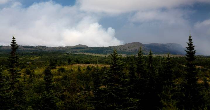 Canada wildfires: Evacuees confront the losses from devastating N.L. fire