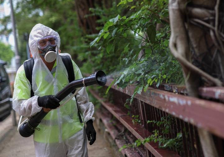 Un brote de chikungunya infecta a más de 7.000 personas en China y dispara las alarmas en el mundo