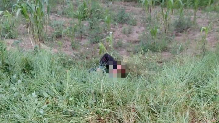 ¿Ataque de perros o agresión humana? Investigan graves lesiones a hombre en Contla