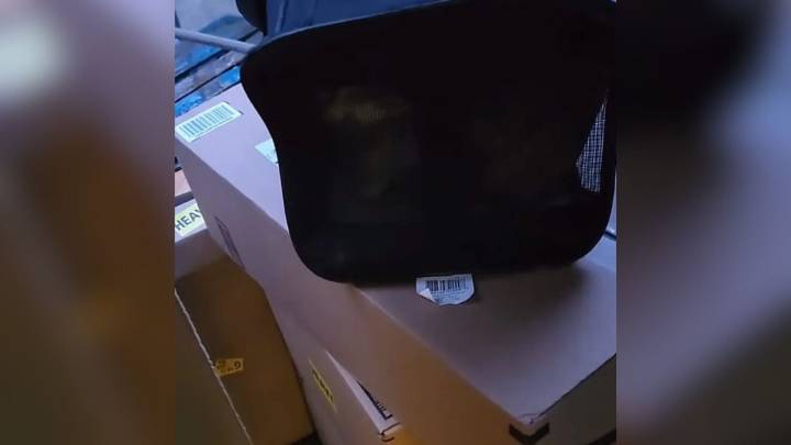 Ohio Rescuer Was Stunned After Realizing There Was Something Inside A Mystery Package She Received