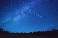 Perseid Meteor Shower 2025: When and Where to Watch in WA State