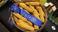 What to do on Day 10 of the 2025 Iowa state Fair