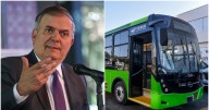Taruk, el primer autobús eléctrico mexicano, atrae pedidos desde EU: ‘Quieren de 10 a 20 mil’, asegura Ebrard