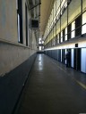 Springfield Predator Gets Up to 13 Years In Prison For Repeatedly Raping Young Child