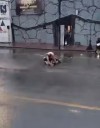 Riña entre dos jóvenes afuera del antro “Ocho Segundos” a plena luz del día