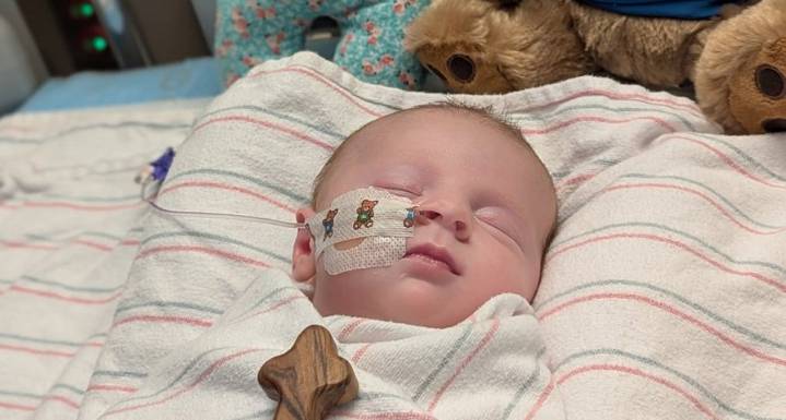 Newborn’s nightmare: tick bite unleashes rare deadly Powassan virus on Martha’s Vineyard baby