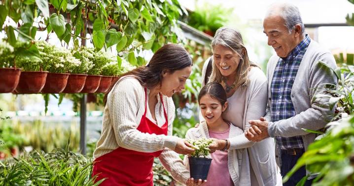Nottingham's top garden centres: Nominate your favourite for our reader's choice award