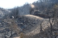 Hallan un mechero en la zona de los incendios de Tarifa: la investigación sigue abierta