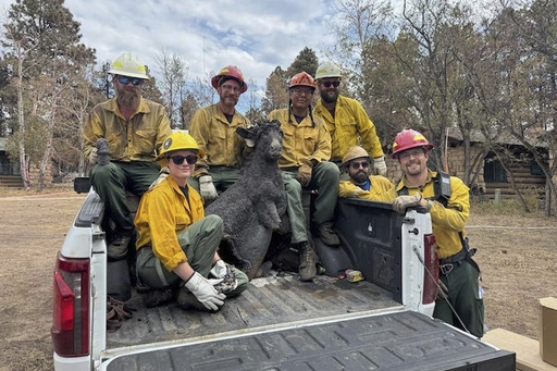 A Grand Canyon mascot is recovered from the rubble. Can Brighty the Burro be restored?