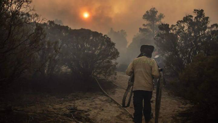 México entre cenizas y fuego: el 2024 fue el peor año por incendios forestales sin planes de contingencias