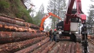 Viewpoint: The Forest Service's wildfire misinformation
