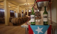 FOTOS: Uvas, vino y paisajes mágicos: así es el viñedo Vista Bella en Utuado