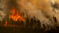 Los incendios del verano ya calcinaron más que todo lo que ardió en 2024