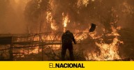 Casi 350.000 hectáreas quemadas este año en España, un 0,7% de la superficie estatal
