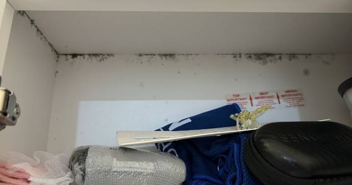 Tenat shows damaged cabinets, personal items in apartment where mold is spreading