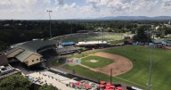 Hillcats set for homestretch before playoffs with 10 new faces following mass promotions