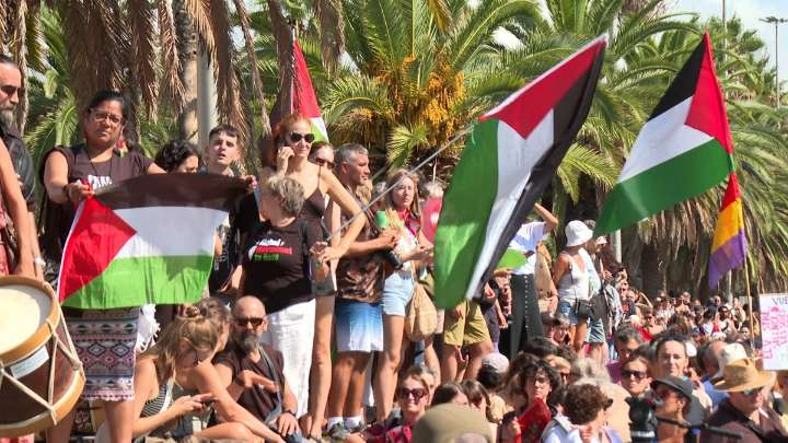 Thunberg apela a la "resistencia"  ante el "fracaso" de los políticos en Gaza
