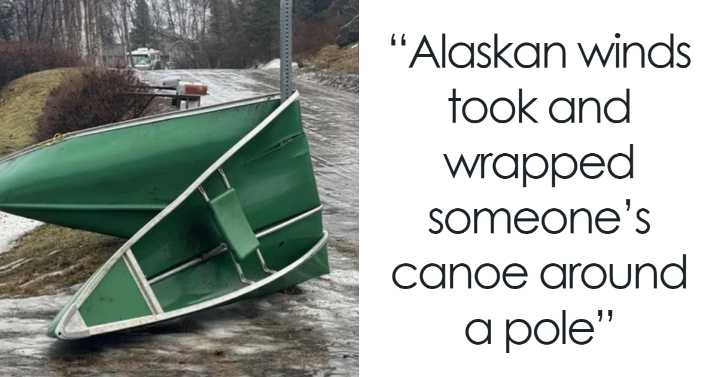 “I Think God Hates Me”: 30 Wild Pics That Remind Us To Never Mess With Nature (New Pics)