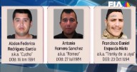 Violenta alianza surge en México: Los aliados de "El Mayito Flaco" para vencer a Los Chapitos