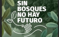IRI lanza campaña para concientizar sobre el cuidado de la Amazonía
