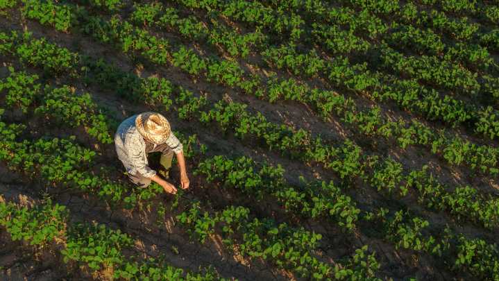 New Mitchell processing plant to help farmers in wake of tariffs