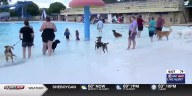 Menasha police, parks & recreation department partner for ‘Doggie Dip’ fundraiser