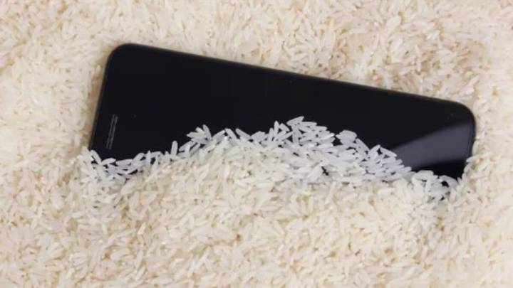 No pongas el celular en arroz: si se mojó, este truco casero puede salvarlo