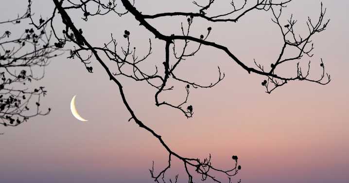 Moon Phase for Today: August 19, 2025