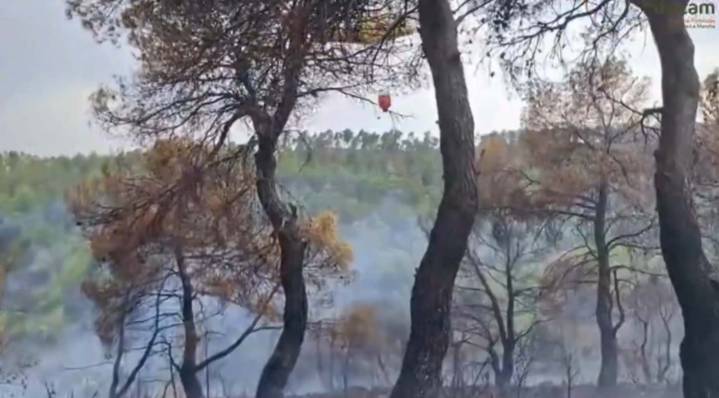 Se declaran dos incendios, los dos en la provincia de Albacete, uno de ellos controlado