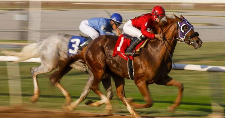 Acting director named at Oklahoma Horse Racing Commission