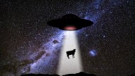 Los 5 experimentos psicológicos más perturbadores realizados en EE. UU.: secretos oscuros que cambiarían su visión del ser humano