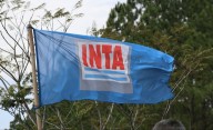 Eliminan por decreto la dirección nacional del INTA, cargo al que se accedía por concurso