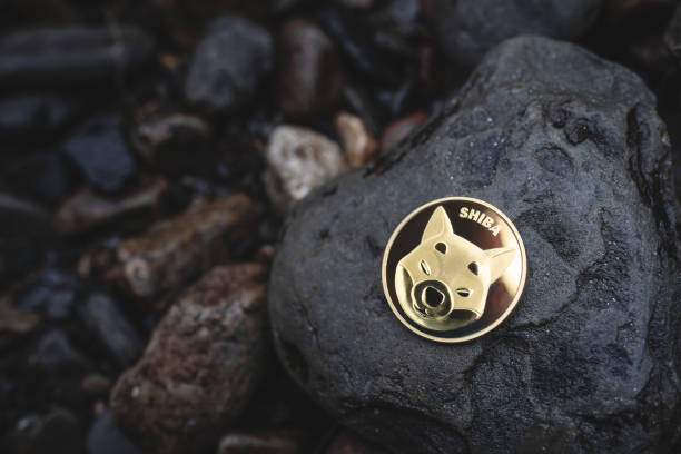 Bybit Exchange Unveils Massive Shiba Inu Balances In The Trillions As Price Tanks