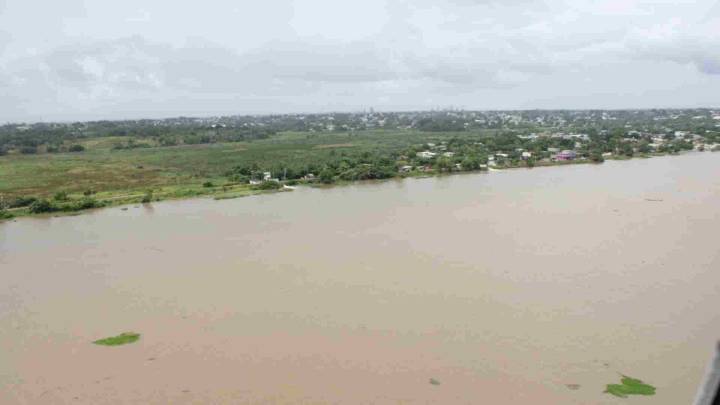 Aparece Ganado Muerto Derivado de las Lluvias e Inundaciones en Coatzacoalcos, Veracruz