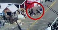 Encuentran a lactante sustraída por su madre desde hospital de Coronel: mujer quedó detenida