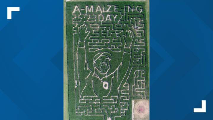 Union County farm pays tribute to Ohio State head coach Ryan Day with corn maze design