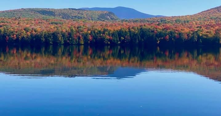 Judge's ruling sides with logging projects in White Mountains